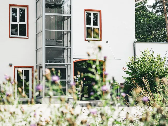 Eingangsbereich des Hotel Anders hinter blühenden Blumen