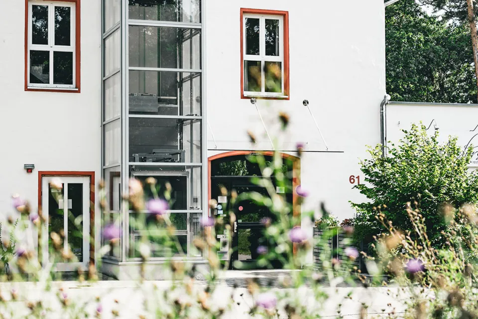 Eingangsbereich des Hotel Anders hinter blühenden Blumen